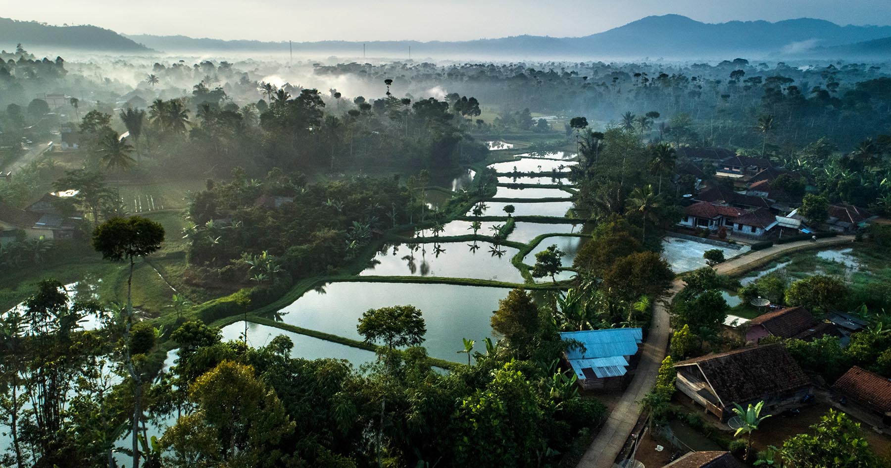 Financing the Future: Unlocking Private Capital for a Thriving Planet